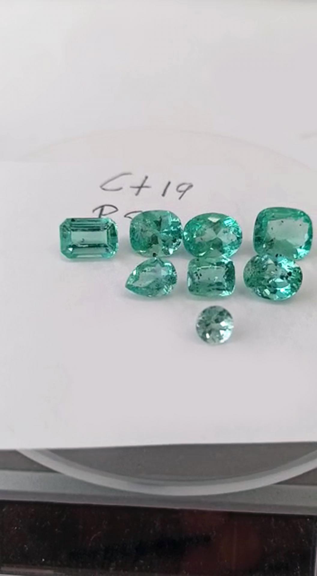 19 Ct. Colombian Emerald Lot