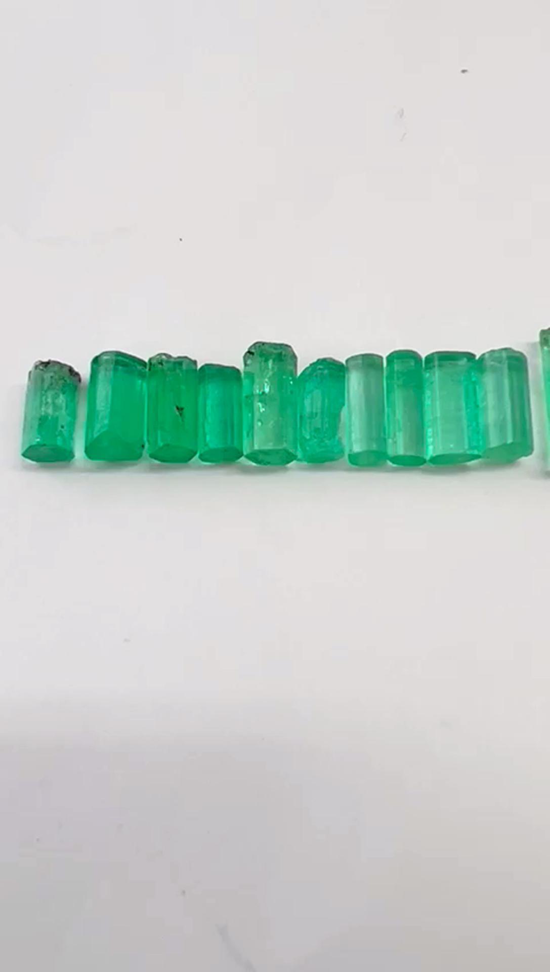 29ct  Rough Colombian Emerald Lot 