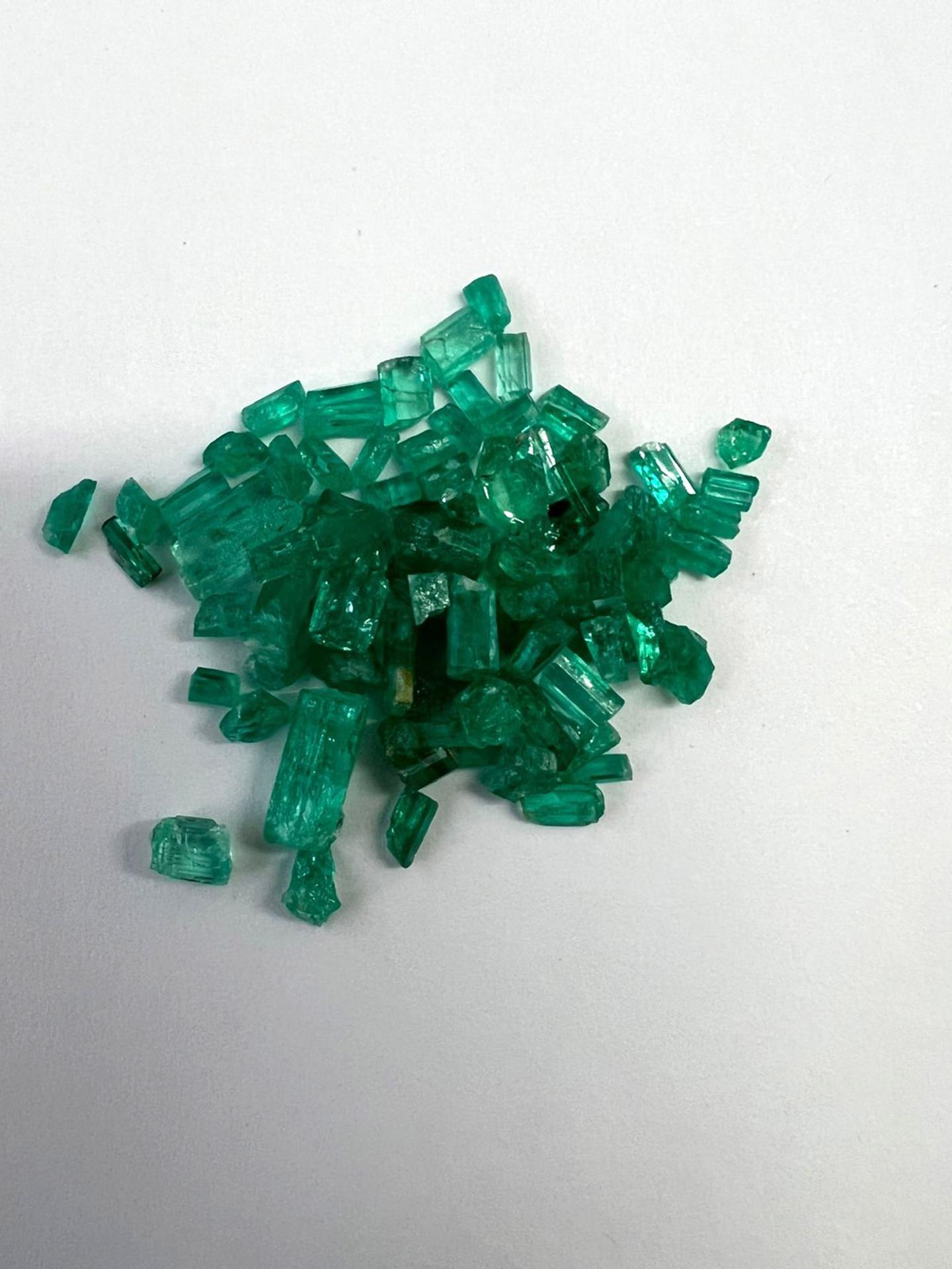 46.30ct  Colombian Rough Emerald Lot 