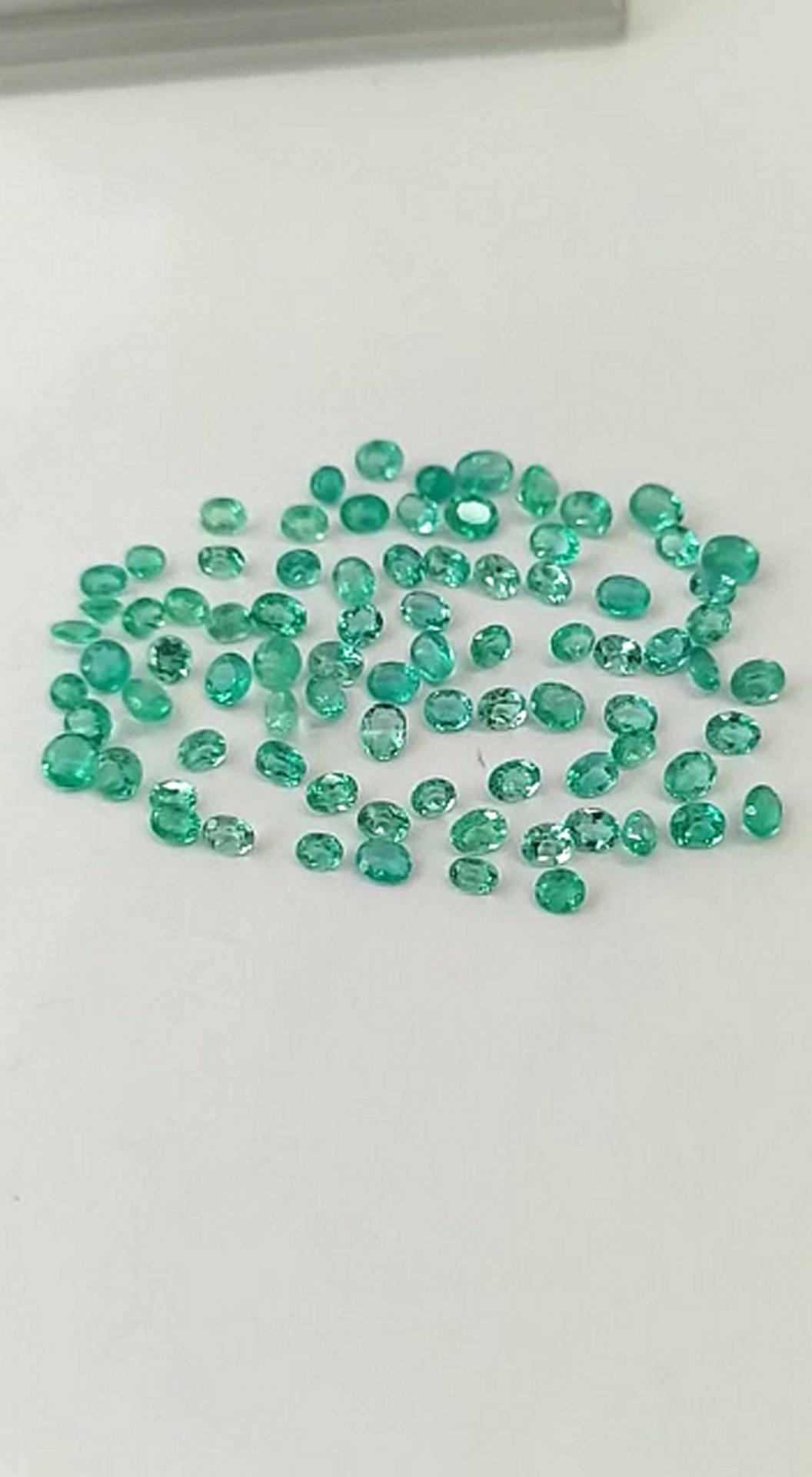 20 Ct. Colombian Emerald Lot ( Economy ) 