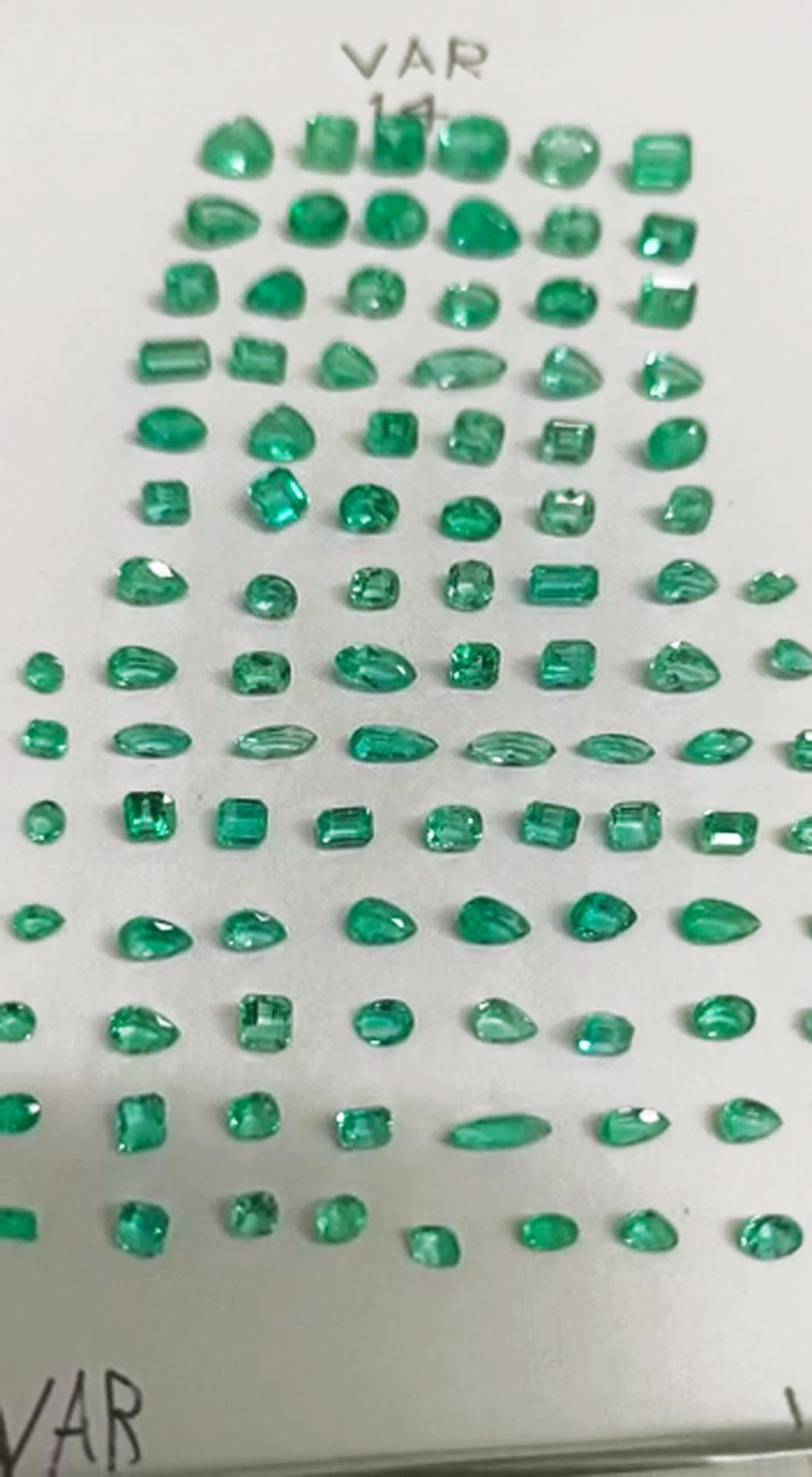 39.92 Ct. Colombian Emerald Lot 